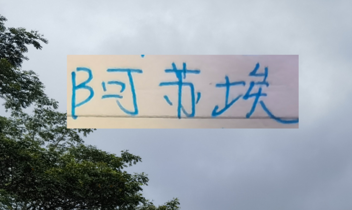 kaiyun-海港也走捡漏路线了 22岁多哥外援会比24岁申花前锋高级吗