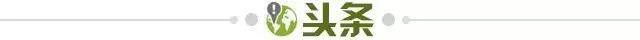 1772063742497092834.jpg 开云APP-【早报】接班女足,“邵二期”国足悉尼开练!
